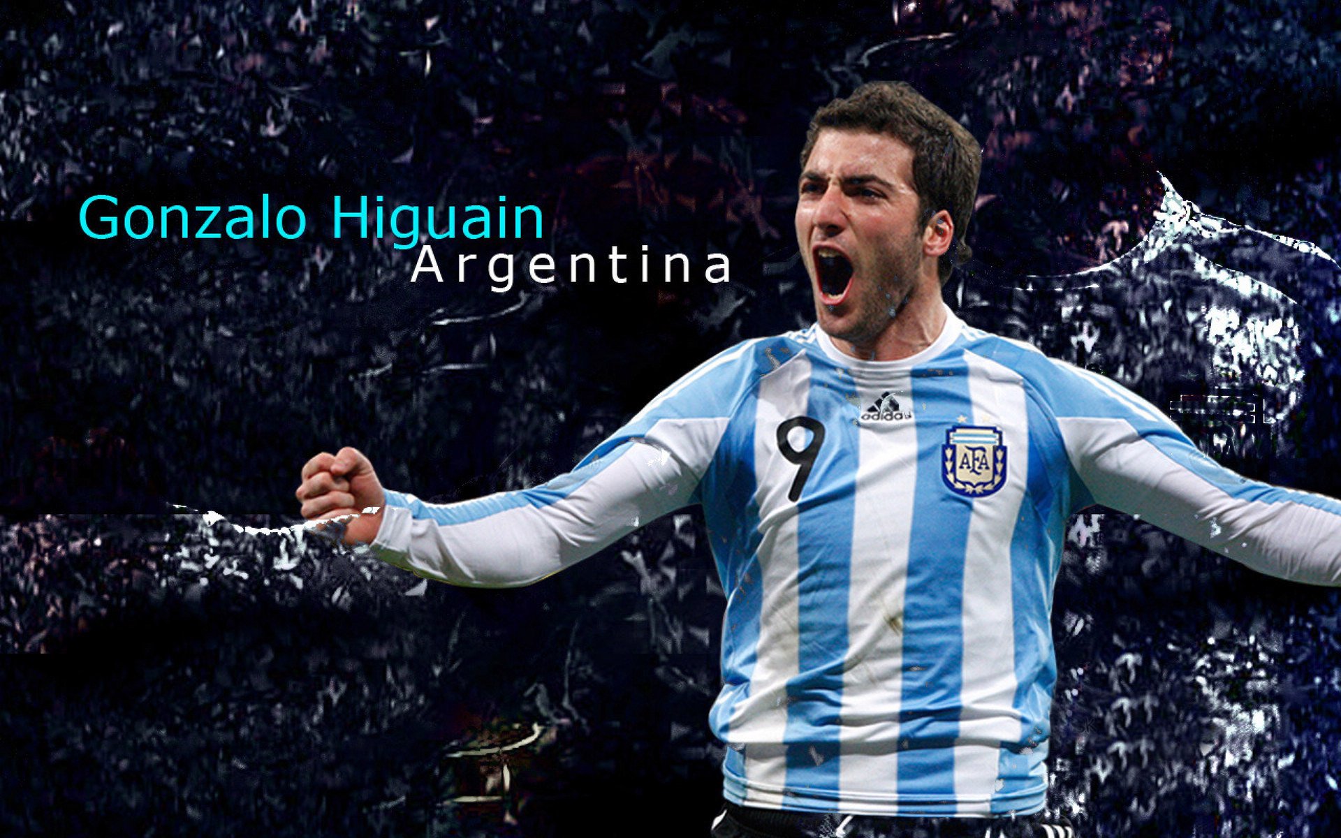 开云官网入口-外援表现两极分化本土球员扛起更多责任，外援比例  第2张